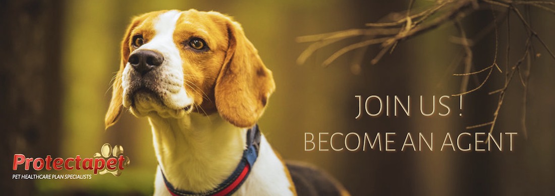 Earn money and grow your business by becoming a Protectapet Healthcare Agent